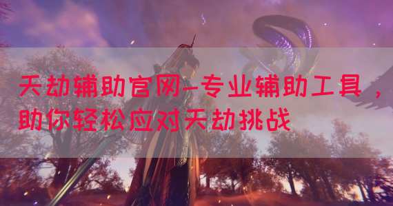 天劫辅助官网-专业辅助工具，助你轻松应对天劫挑战