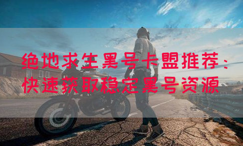 绝地求生黑号卡盟推荐：快速获取稳定黑号资源