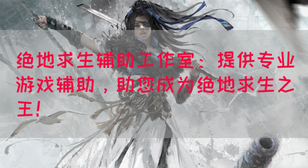 绝地求生辅助工作室：提供专业游戏辅助，助您成为绝地求生之王！