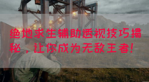 绝地求生辅助透视技巧揭秘，让你成为无敌王者！