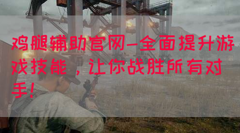 鸡腿辅助官网-全面提升游戏技能，让你战胜所有对手！