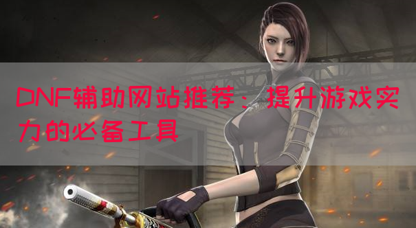 DNF辅助网站推荐：提升游戏实力的必备工具