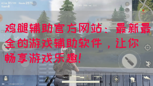 鸡腿辅助官方网站：最新最全的游戏辅助软件，让你畅享游戏乐趣！