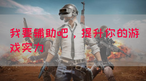 我要辅助吧,提升你的游戏实力(图1) 我要辅助吧,提升你的游戏实力(图1)
