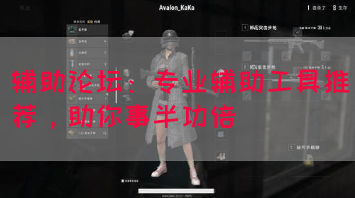 辅助论坛：专业辅助工具推荐，助你事半功倍