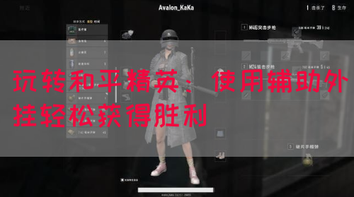 玩转和平精英：使用辅助外挂轻松获得胜利