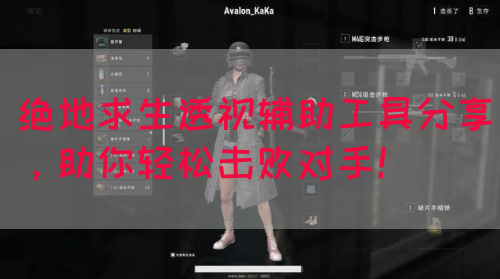 绝地求生透视辅助工具分享，助你轻松击败对手！
