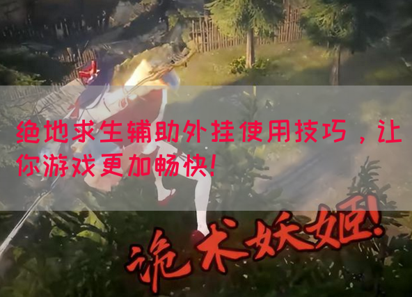 绝地求生辅助外挂使用技巧，让你游戏更加畅快！
