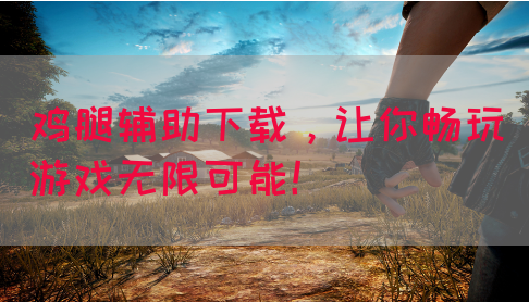 鸡腿辅助下载，让你畅玩游戏无限可能！