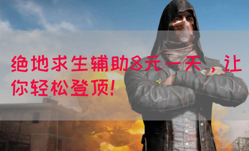 绝地求生辅助8元一天，让你轻松登顶！