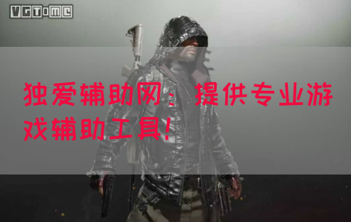 独爱辅助网：提供专业游戏辅助工具！