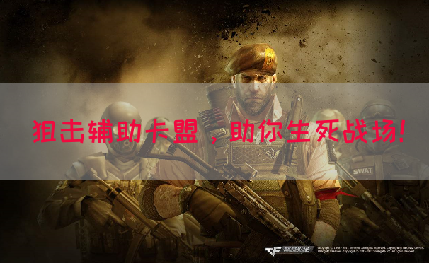 狙击辅助卡盟，助你生死战场！