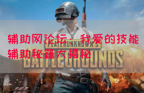 辅助网论坛：我爱的技能辅助秘籍大揭秘