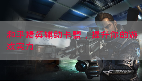 和平精英辅助卡盟，提升你的游戏实力