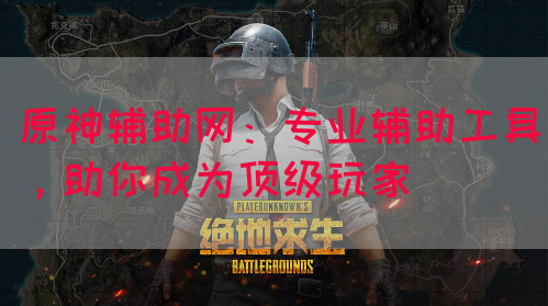 原神辅助网：专业辅助工具，助你成为顶级玩家