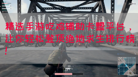 精选手游吃鸡辅助卡盟平台，让你轻松登顶绝地求生排行榜！