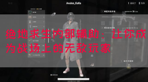 绝地求生内部辅助：让你成为战场上的无敌玩家