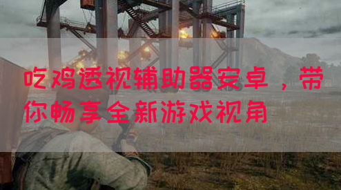 吃鸡透视辅助器安卓，带你畅享全新游戏视角