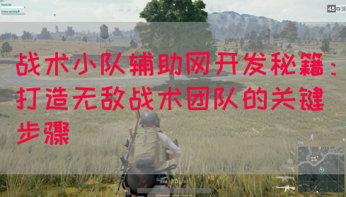 战术小队辅助网开发秘籍：打造无敌战术团队的关键步骤