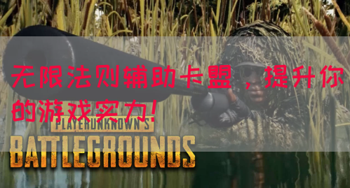 无限法则辅助卡盟，提升你的游戏实力！