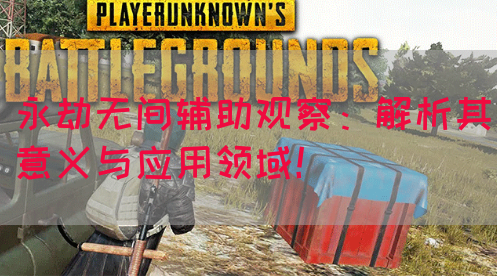永劫无间辅助观察：解析其意义与应用领域！