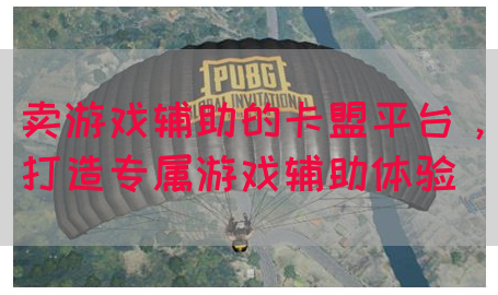 卖游戏辅助的卡盟平台，打造专属游戏辅助体验