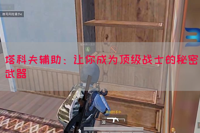 塔科夫辅助：让你成为顶级战士的秘密武器