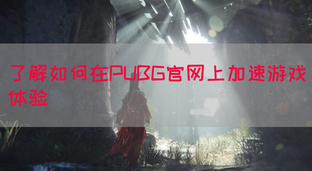 了解如何在PUBG官网上加速游戏体验