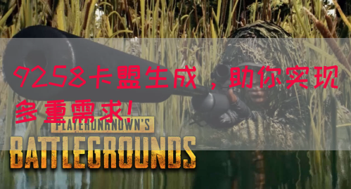 9258卡盟生成，助你实现多重需求！