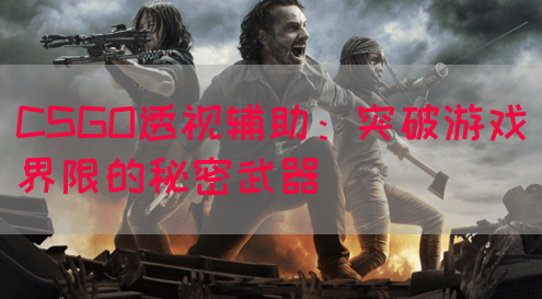 CSGO透视辅助：突破游戏界限的秘密武器