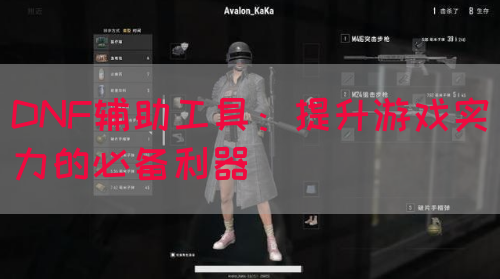 DNF辅助工具：提升游戏实力的必备利器