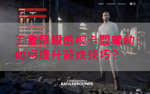 王者荣耀透视卡盟辅助：如何提升游戏技巧？(图1)