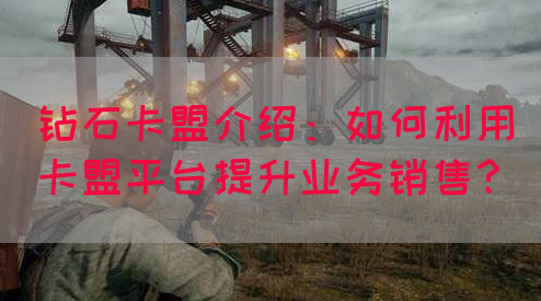 钻石卡盟介绍：如何利用卡盟平台提升业务销售？