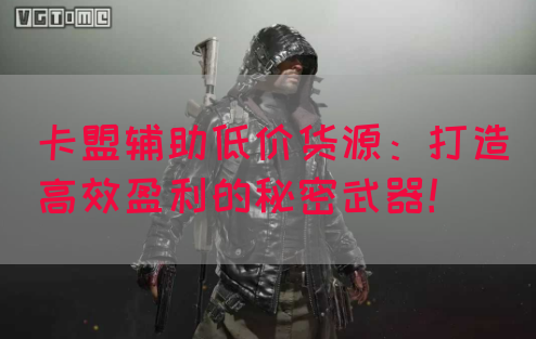 卡盟辅助低价货源：打造高效盈利的秘密武器！