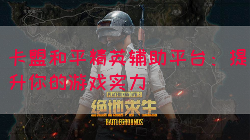 卡盟和平精英辅助平台：提升你的游戏实力