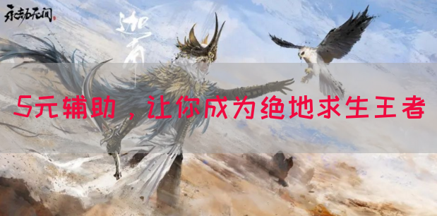 5元辅助，让你成为绝地求生王者