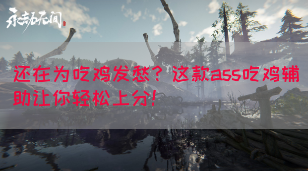 还在为吃鸡发愁?这款ass吃鸡辅助让你轻松上分!(图1) 还在为吃鸡发愁?这款ass吃鸡辅助让你轻松上分!(图1)