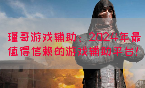 瑾哥游戏辅助：2024年最值得信赖的游戏辅助平台！