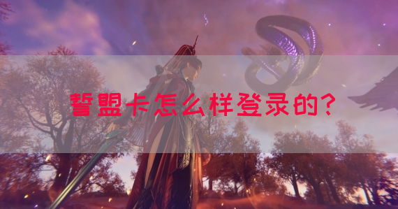 誓盟卡怎么样登录的？