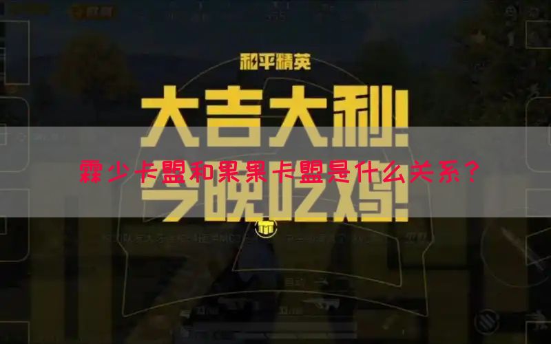 霖少卡盟和果果卡盟是什么关系？