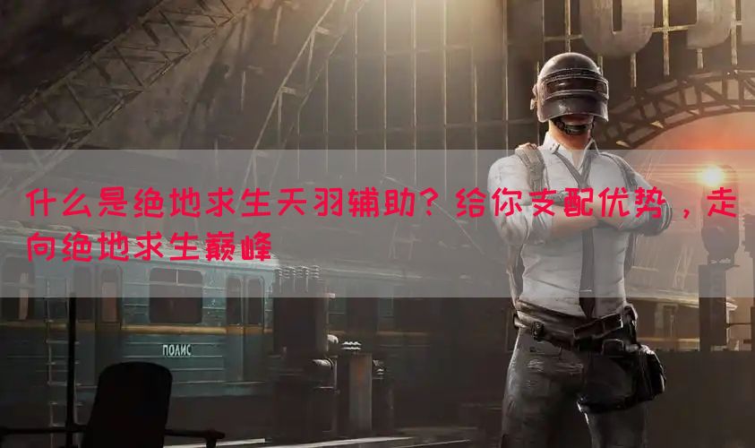 什么是绝地求生天羽辅助？给你支配优势，走向绝地求生巅峰