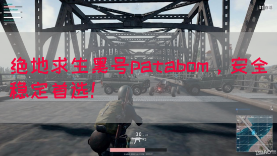 绝地求生黑号patabom，安全稳定首选！