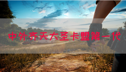 中外齐天大圣卡盟第一代