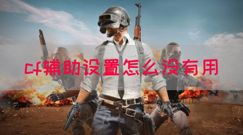 cf辅助设置怎么没有用(图1)