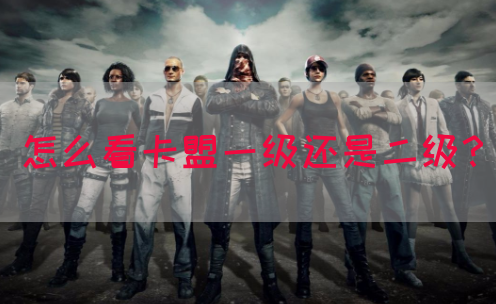 怎么看卡盟一级还是二级？