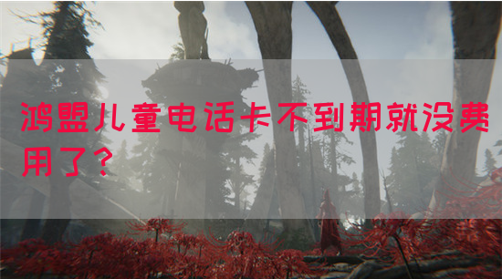 鸿盟儿童电话卡不到期就没费用了？