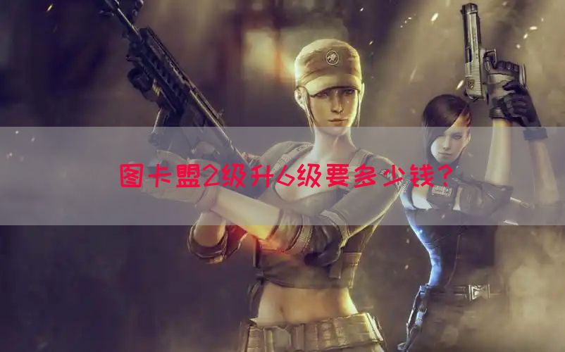 图卡盟2级升6级要多少钱？