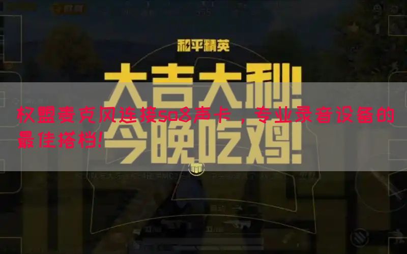 权盟麦克风连接so8声卡，专业录音设备的最佳搭档！