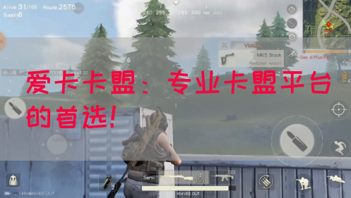 爱卡卡盟：专业卡盟平台的首选！