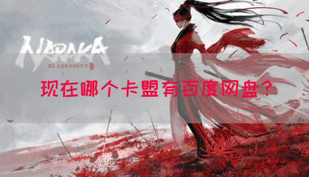 现在哪个卡盟有百度网盘？